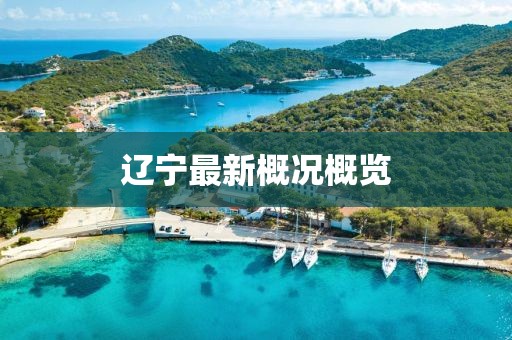 辽宁最新概况概览