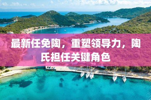 最新任免陶，重塑领导力，陶氏担任关键角色