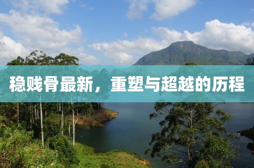 稳贱骨最新，重塑与超越的历程