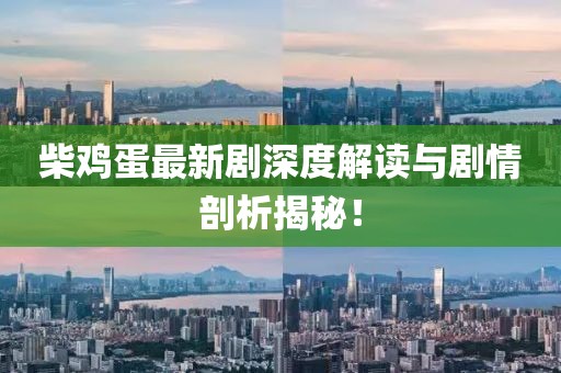 柴鸡蛋最新剧深度解读与剧情剖析揭秘！