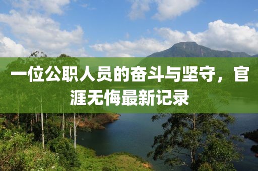 一位公职人员的奋斗与坚守，官涯无悔最新记录