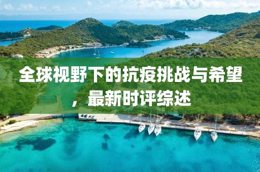全球视野下的抗疫挑战与希望，最新时评综述
