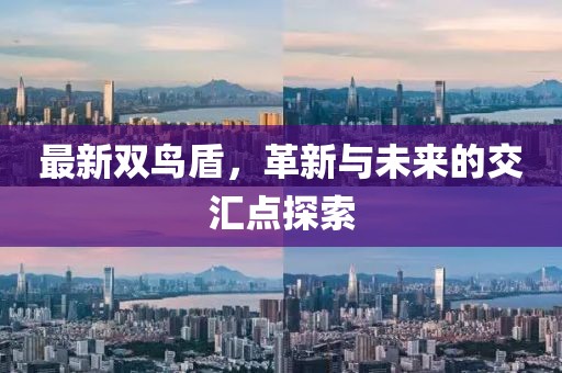 最新双鸟盾，革新与未来的交汇点探索
