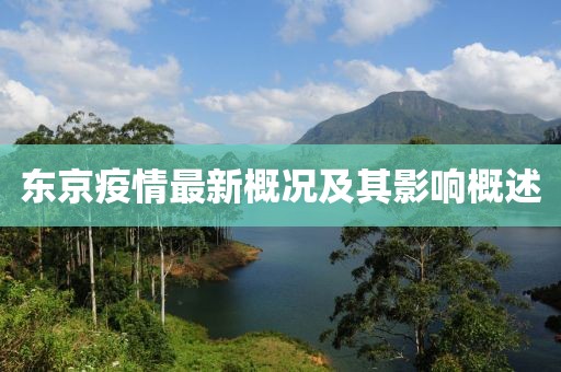 东京疫情最新概况及其影响概述