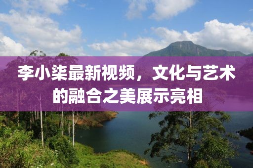 李小柒最新视频，文化与艺术的融合之美展示亮相