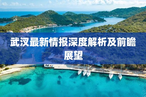 武汊最新情报深度解析及前瞻展望