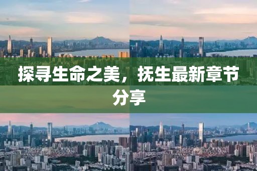 探寻生命之美，抚生最新章节分享