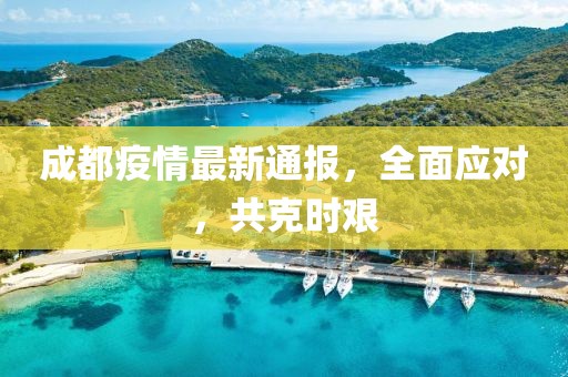 成都疫情最新通报，全面应对，共克时艰