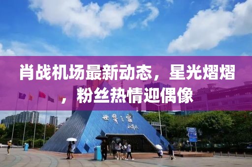 肖战机场最新动态，星光熠熠，粉丝热情迎偶像