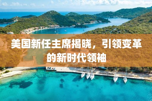 美国新任主席揭晓，引领变革的新时代领袖