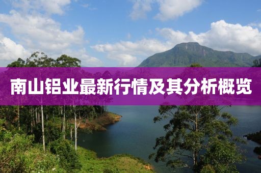 南山铝业最新行情及其分析概览