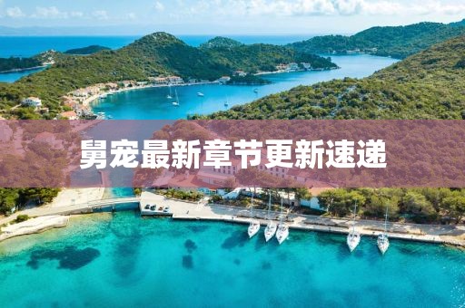 舅宠最新章节更新速递