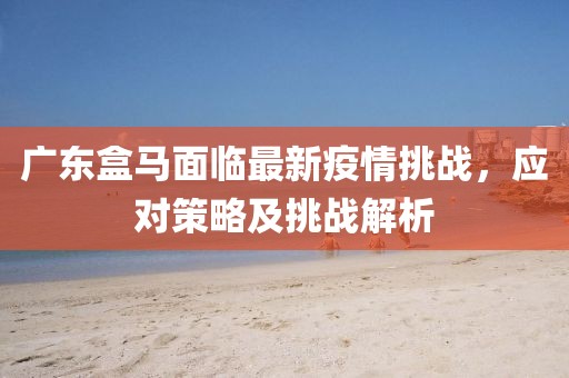 广东盒马面临最新疫情挑战，应对策略及挑战解析