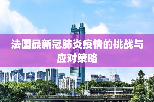 法国最新冠肺炎疫情的挑战与应对策略
