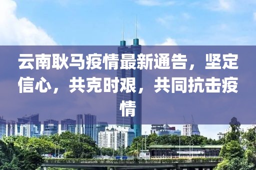 云南耿马疫情最新通告，坚定信心，共克时艰，共同抗击疫情