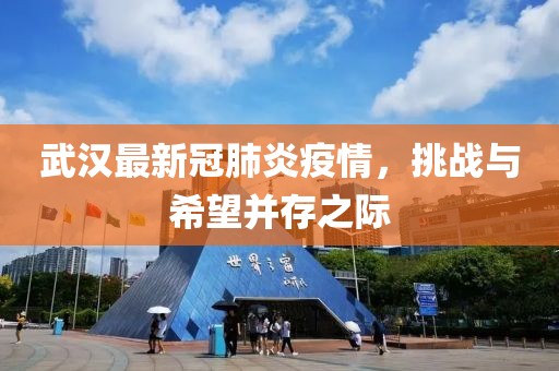 武汉最新冠肺炎疫情，挑战与希望并存之际