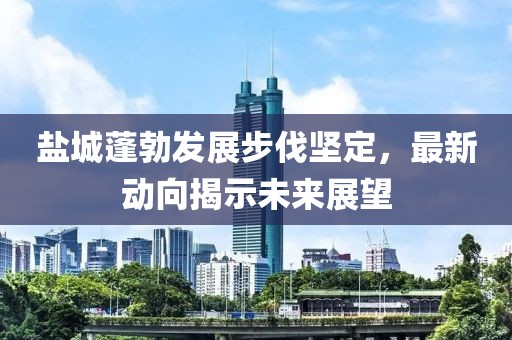 盐城蓬勃发展步伐坚定，最新动向揭示未来展望