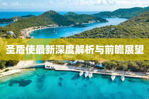 圣盾使最新深度解析与前瞻展望