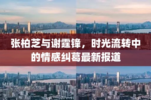 张柏芝与谢霆锋，时光流转中的情感纠葛最新报道