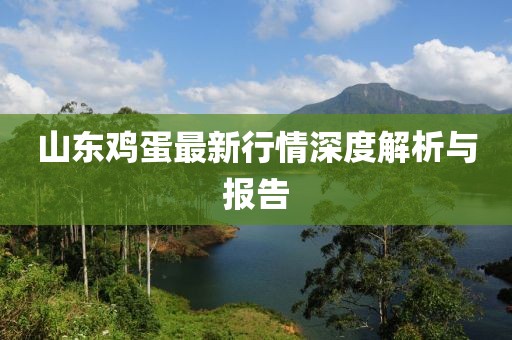 山东鸡蛋最新行情深度解析与报告
