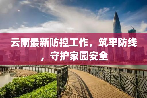 云南最新防控工作，筑牢防线，守护家园安全