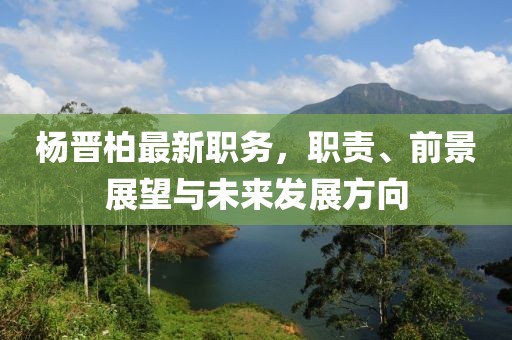 杨晋柏最新职务，职责、前景展望与未来发展方向