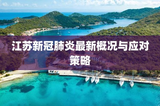 江苏新冠肺炎最新概况与应对策略