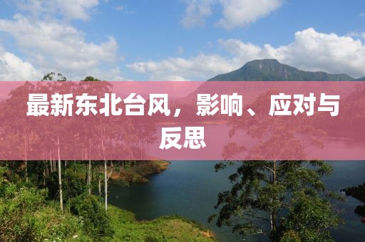 最新东北台风，影响、应对与反思