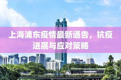 上海浦东疫情最新通告，抗疫进展与应对策略