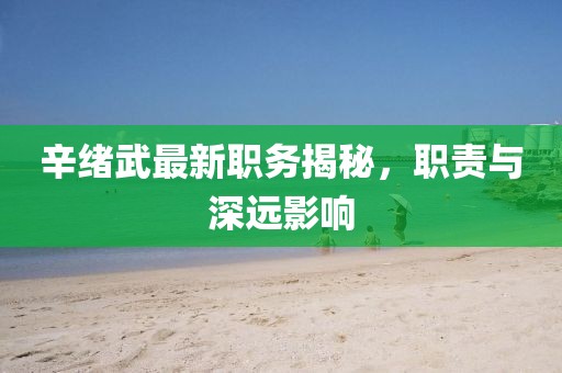 辛绪武最新职务揭秘，职责与深远影响