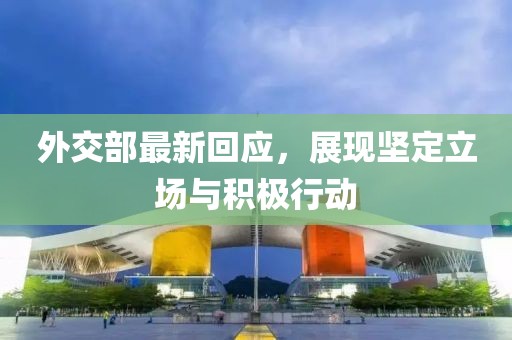 外交部最新回应，展现坚定立场与积极行动