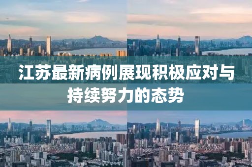 江苏最新病例展现积极应对与持续努力的态势