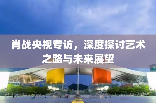 肖战央视专访，深度探讨艺术之路与未来展望
