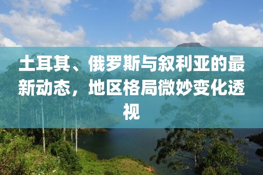 土耳其、俄罗斯与叙利亚的最新动态，地区格局微妙变化透视