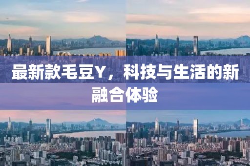 最新款毛豆Y，科技与生活的新融合体验