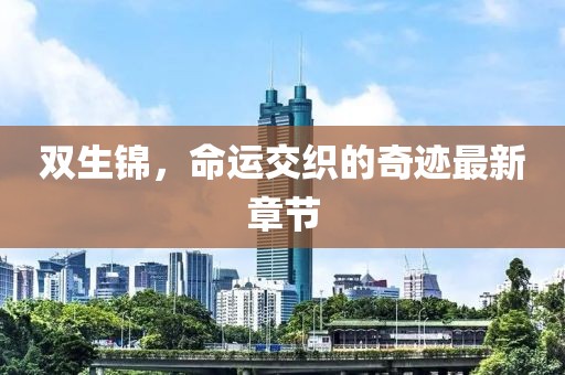 双生锦，命运交织的奇迹最新章节
