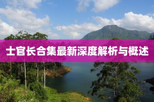 士官长合集最新深度解析与概述