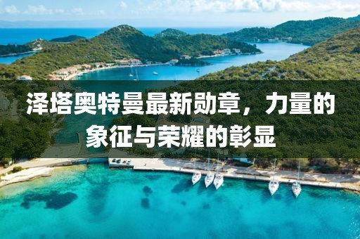 泽塔奥特曼最新勋章，力量的象征与荣耀的彰显