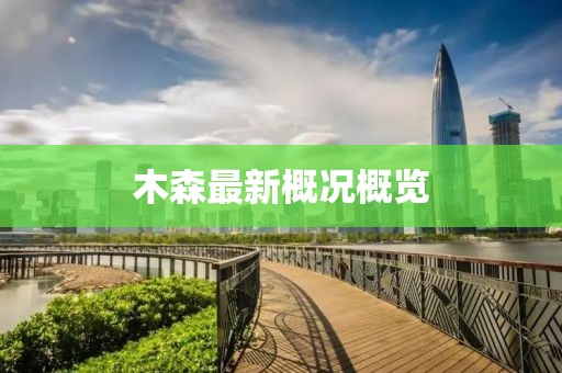 木森最新概况概览