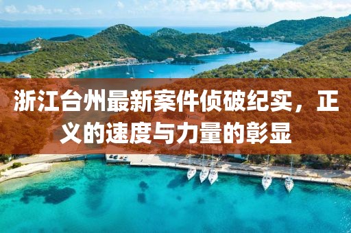 浙江台州最新案件侦破纪实，正义的速度与力量的彰显