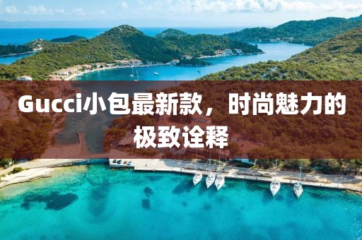 Gucci小包最新款，时尚魅力的极致诠释