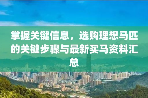 掌握关键信息，选购理想马匹的关键步骤与最新买马资料汇总