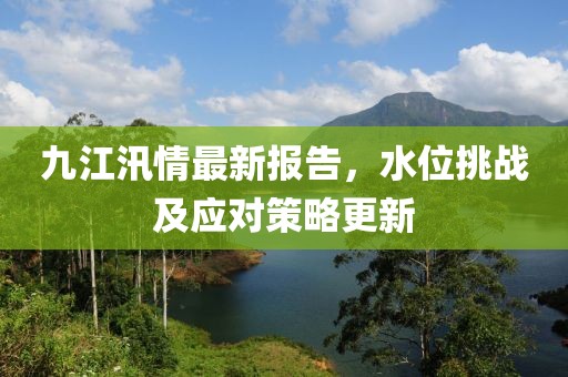 九江汛情最新报告，水位挑战及应对策略更新