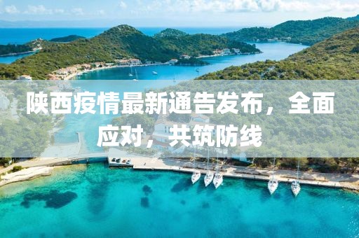 陕西疫情最新通告发布，全面应对，共筑防线