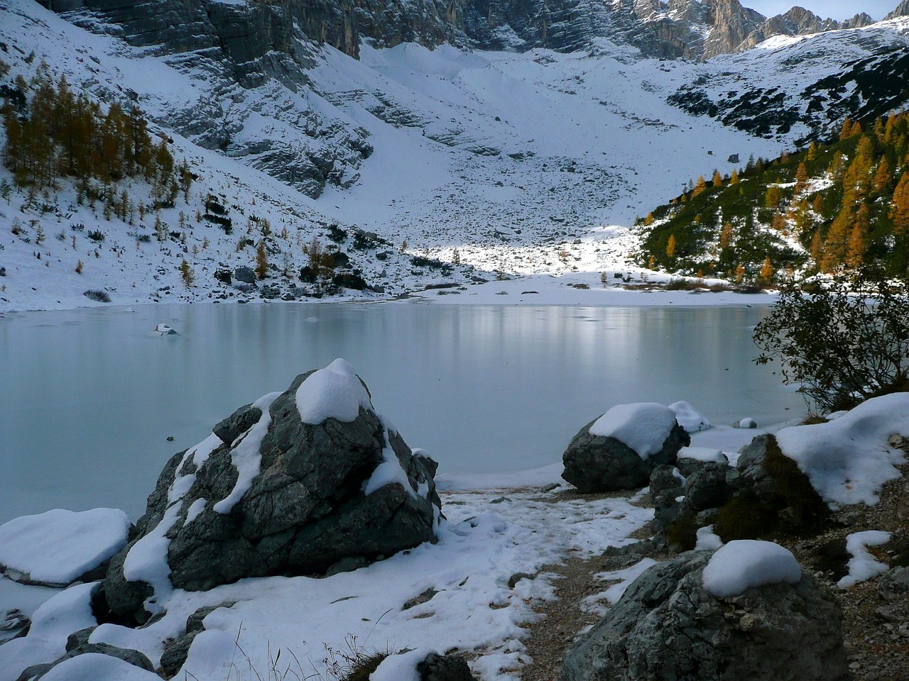 释雪笙最新动态，音乐与艺术融合的旅程