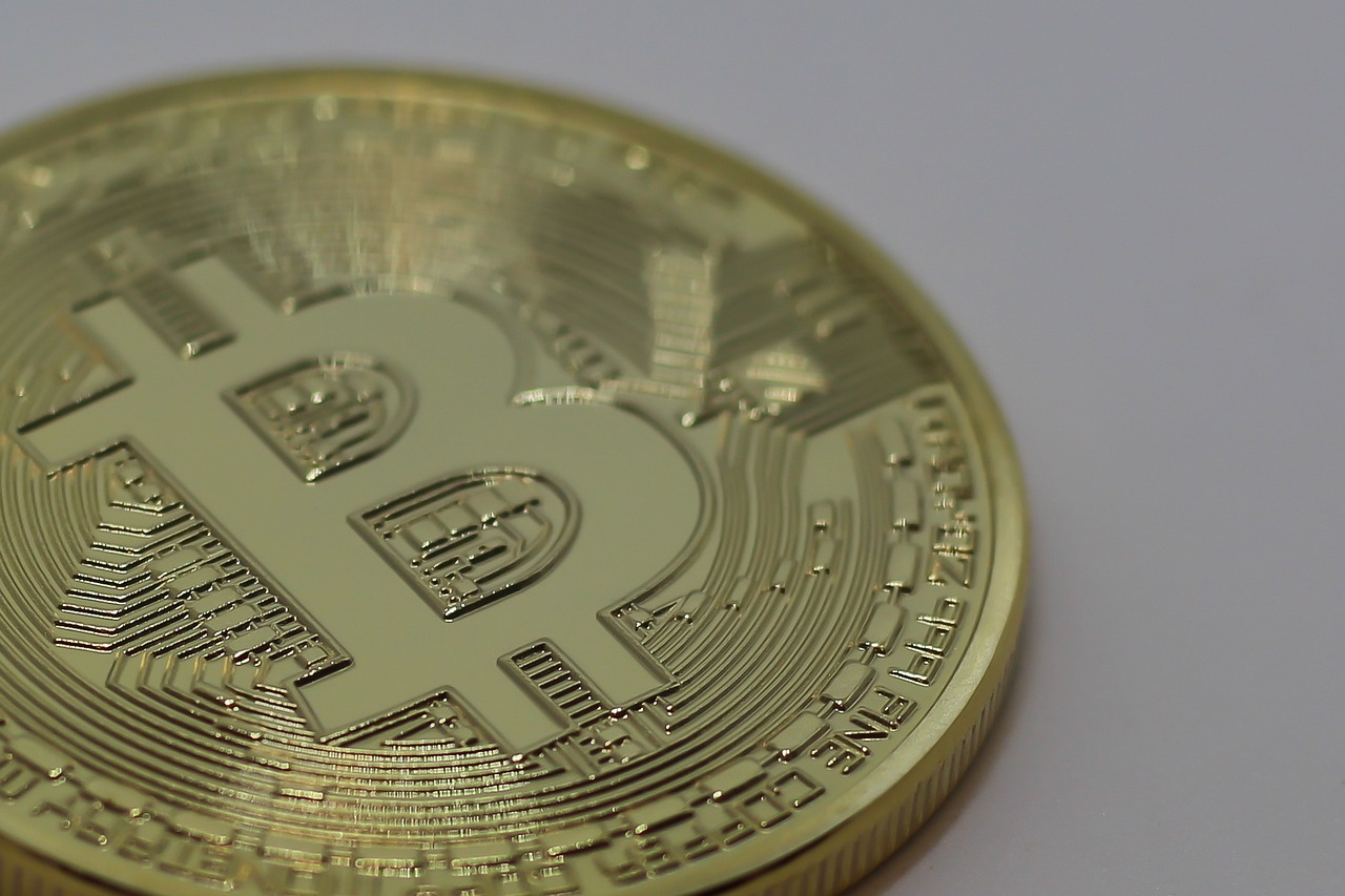 最新澳龙价格动态分析与趋势预测