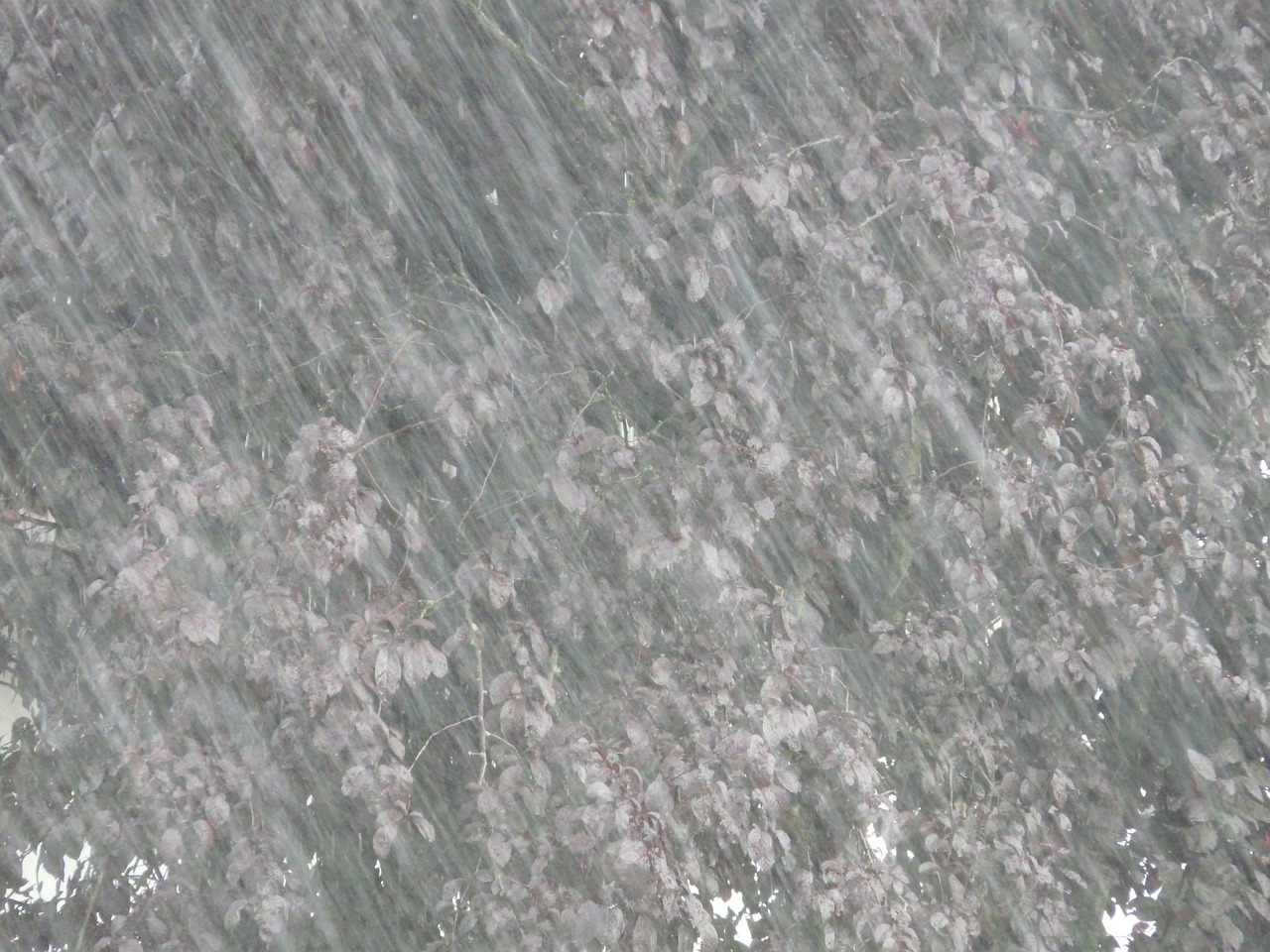 通州大暴雨最新情况报告更新