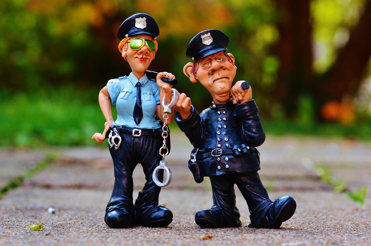 警方最新抓捕行动揭秘，过程与背后故事全揭秘