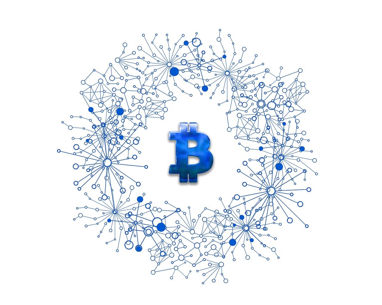 聚财猫最新动态，引领数字金融新时代的创新力量领航者