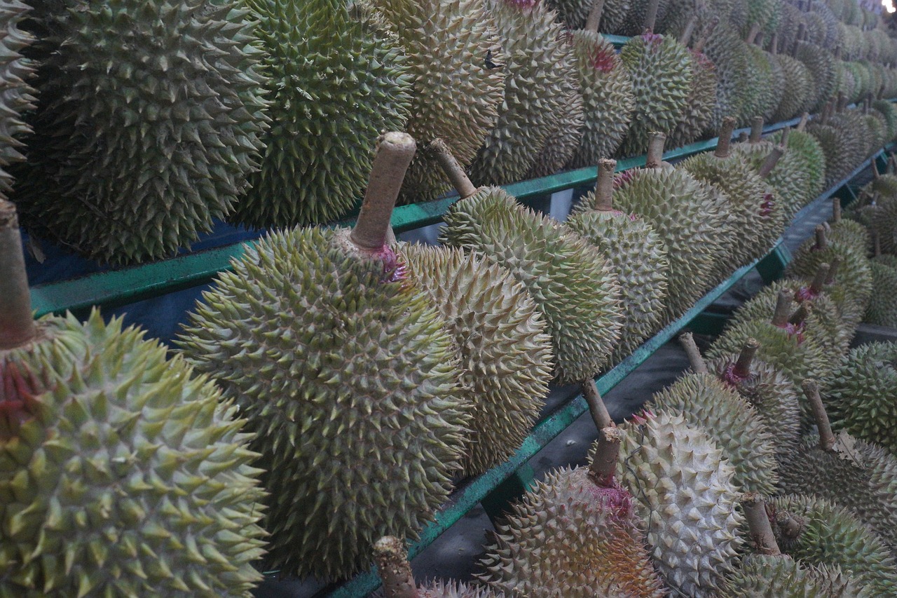 单冠玉 第7页